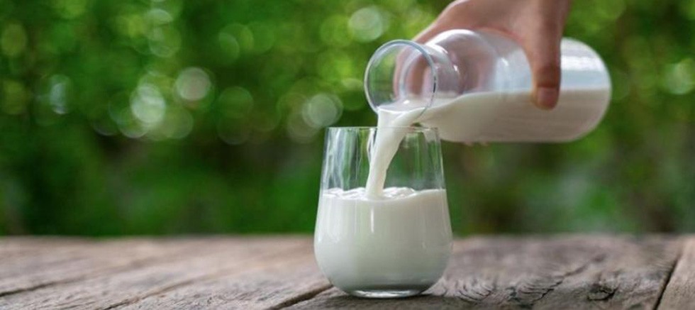 Çiğ süt üretimi 2023 yılında azaldı
