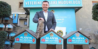 Alanya Belediyesi okullara ve hayvanseverlere kedi evi dağıttı