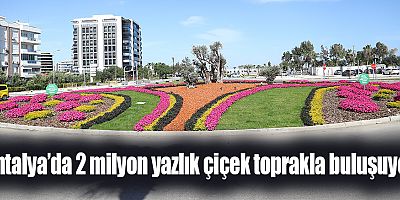 Antalya’da 2 milyon yazlık çiçek toprakla buluşuyor