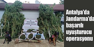 Antalya'da Jandarma'dan başarılı uyuşturucu operasyonu