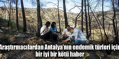 Araştırmacılardan Antalya’nın endemik türleri için bir iyi bir kötü haber