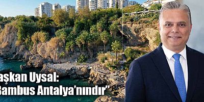 Başkan Uysal, “Bambus Antalya’nındır”