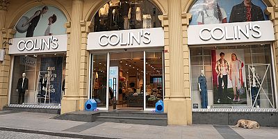 Colin's ve HAÇİKO patili dostlara destek için el ele