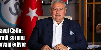 Davut Çetin: Kredi sorunu devam ediyor