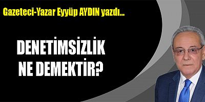 DENETİMSİZLİK NE DEMEKTİR?