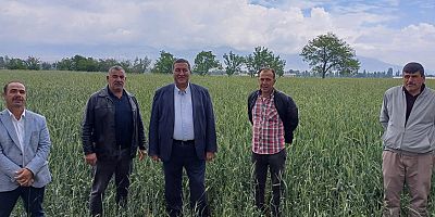 Gürer: “Buğday taban fiyatı 15 bin TL/ton olmalı”