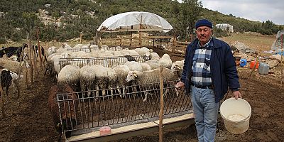 Hayvancılara Çoban Haritası desteği