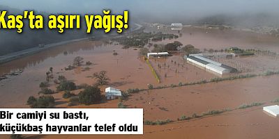 Kaş’ta aşırı yağış! Bir camiyi su bastı, küçükbaş hayvanlar telef oldu