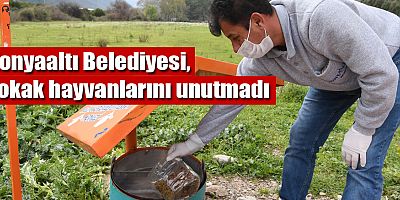 Konyaaltı Belediyesi