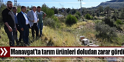 Manavgat'ta tarım ürünleri doludan zarar gördü