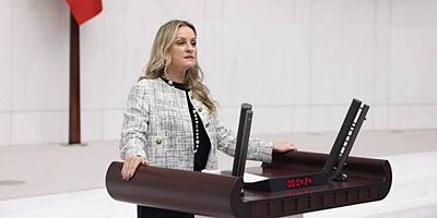 Milletvekili Ösen, elektrikli skuter kullanımını Meclis'e taşıdı