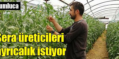 Sera üreticileri ayrıcalık istiyor