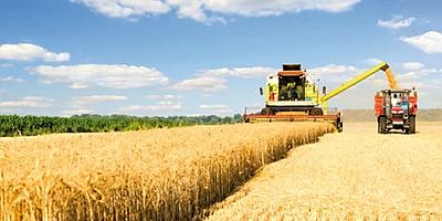 Tarım-ÜFE yıllık yüzde 154,97 arttı