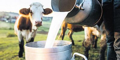  Ticari süt işletmelerince 843 bin 876 ton inek sütü toplandı