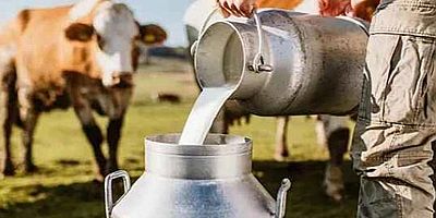 Ticari süt işletmelerince 982 bin 322 ton inek sütü toplandı