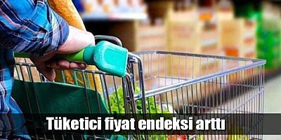 Tüketici fiyat endeksi arttı