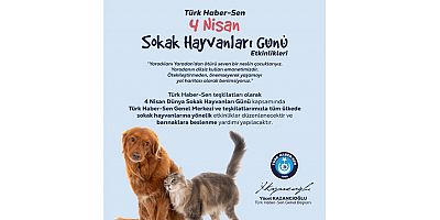 Türk Haber Sen'den sokak hayvanlarına duyarlı etkinlik