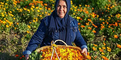 Türkiye'deki Kadın Kooperatiflerinin Sayısı Ve Çalışma Alanlarının Haritası Çıkarılacak