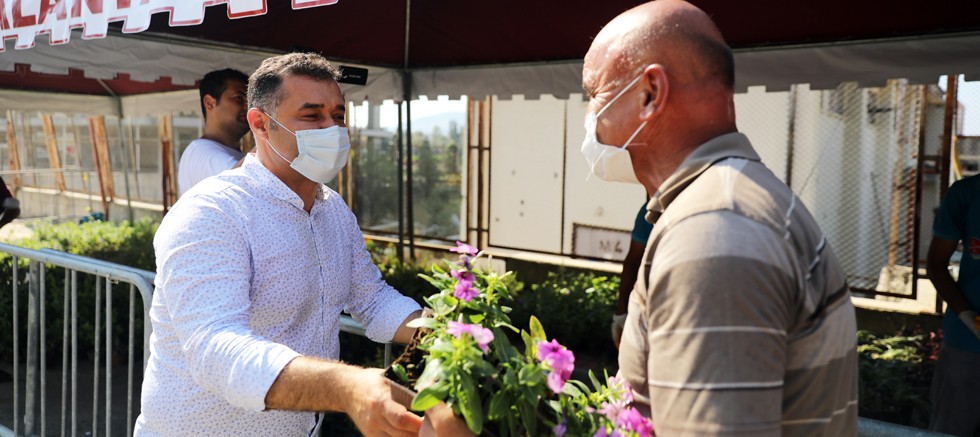 Alanya Belediyesi Kurban Bayramı'nda ücretsiz 61 bin çiçek dağıtacak