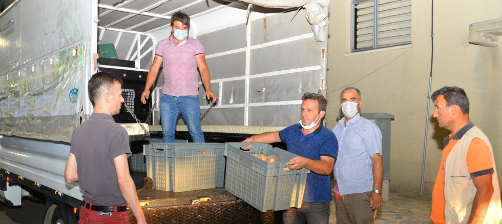 Alanya Belediyesi Manavgat ve Akseki'ye destek seferberliği başlattı