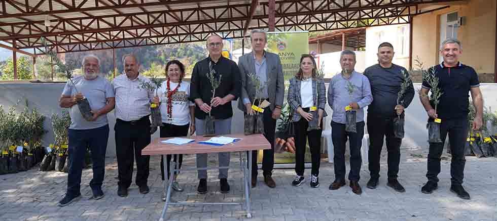 Alanya Belediyesi'nden Yaylakonak'a can suyu: Zeytin fidanları toprakla buluşuyor
