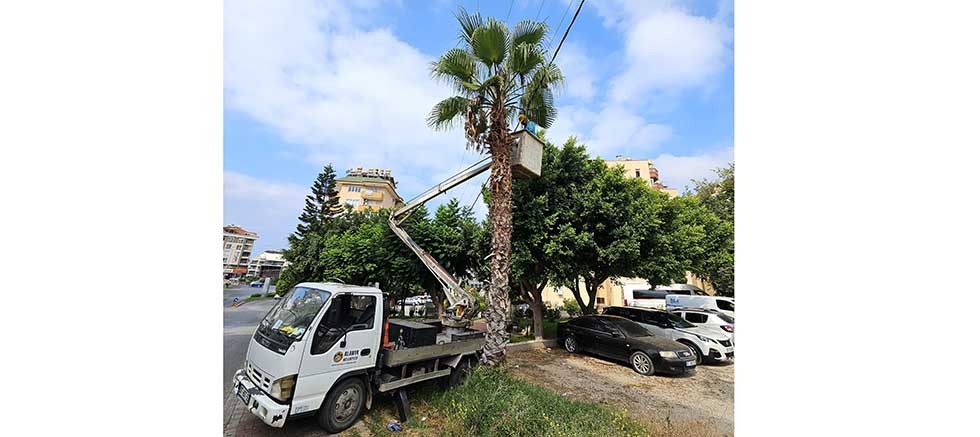 Alanya Belediyesi ve AEDAŞ'dan yangın riskine karşı önlem
