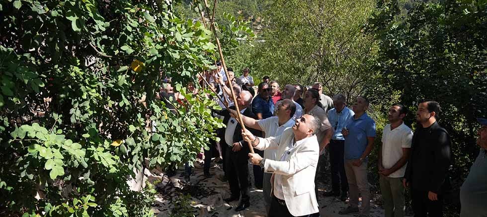 Alanya Keçiboynuzu Hasat Şenliği 2. kez gerçekleştirildi