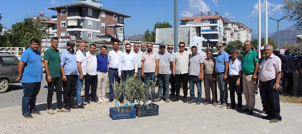 Antalya Büyükşehir Belediyesi’nden Gazipaşa'da fidan desteği 