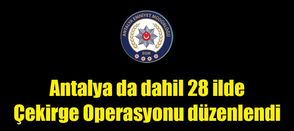 Antalya da dahil 28 ilde Çekirge Operasyonu düzenlendi