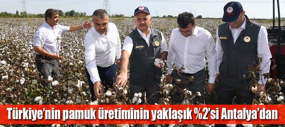 Antalya'da pamukta ilk hasat Vali Yazıcı'dan