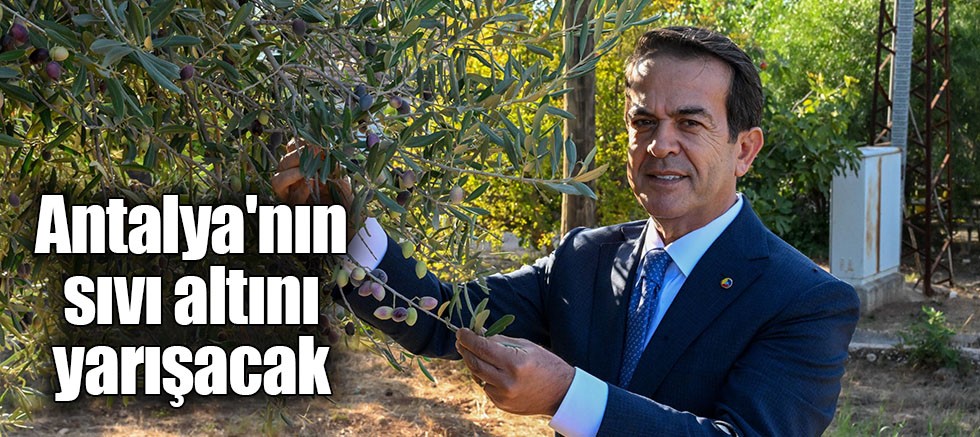 Antalya'nın Sıvı Altını Yarışacak