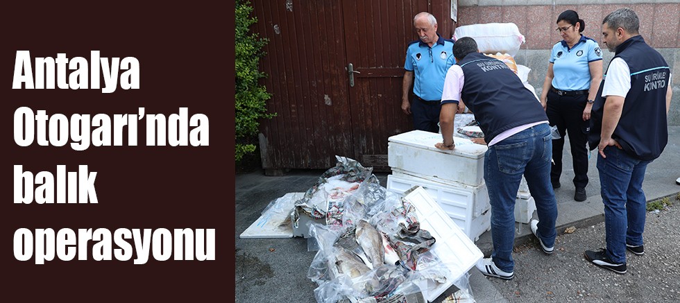 Antalya Otogarı’nda balık operasyonu