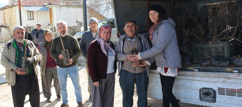 Antalyalı çiftçilere ceviz ve meyve ağacı fidanı dağıtılıyor