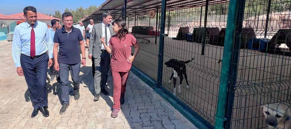 Atay Uslu: Antalya'nın en büyük hayvan bakımevi ve rehabilitasyon merkezi Kaş'ta