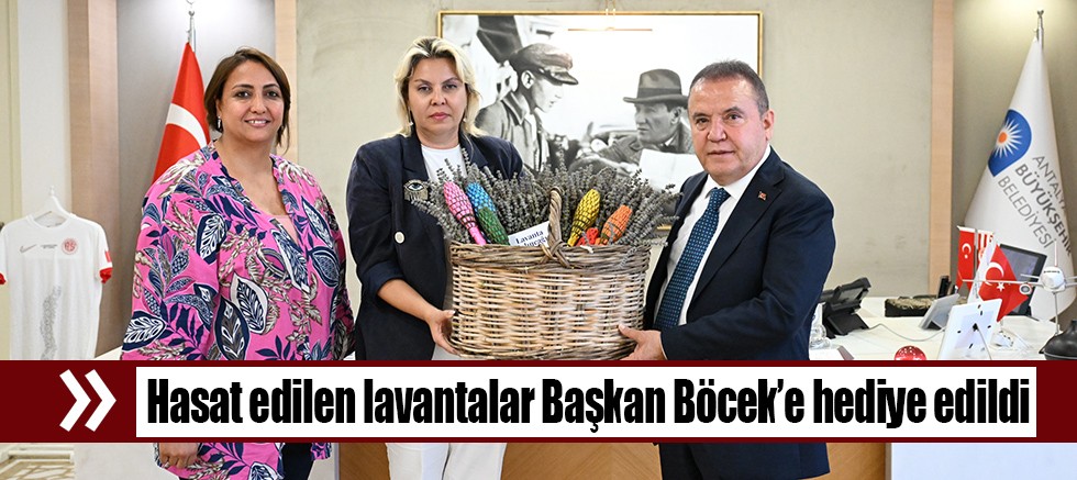 Atıl arazi lavanta bahçesine dönüştü