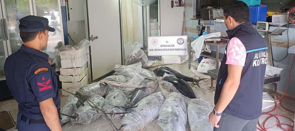 Avlanması ve satışı yasak olan 603.2 kilo su ürününe el konuldu