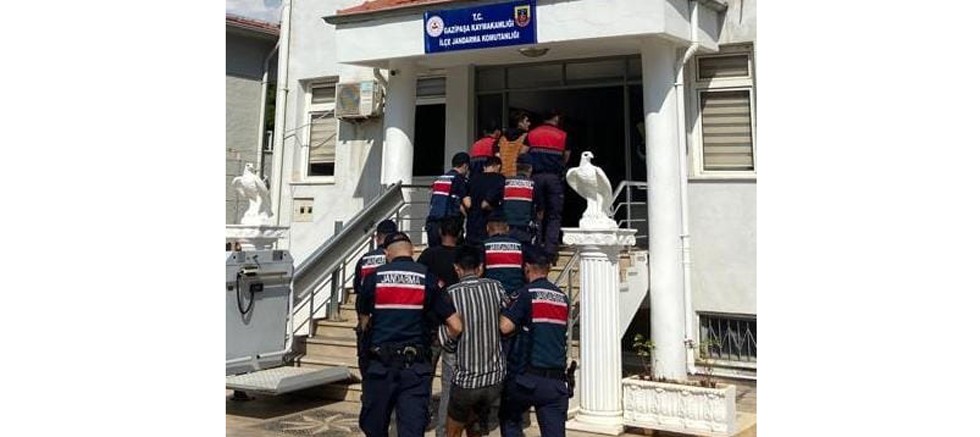 Avokado hırsızları Jandarma ekipleri tarafından yakalandı