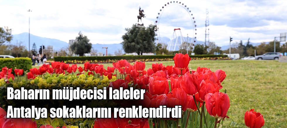 Baharın müjdecisi laleler Antalya sokaklarını renklendirdi 