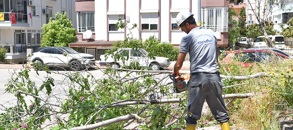 Belediye ekipleri devrilen ağaçları kaldırdı