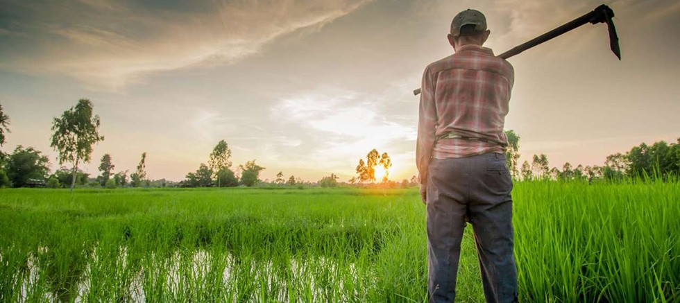  Bitkisel ürünlerde en yüksek yeterlilik derecesi %594,9 ile kayısı ve zerdalide gerçekleşti9