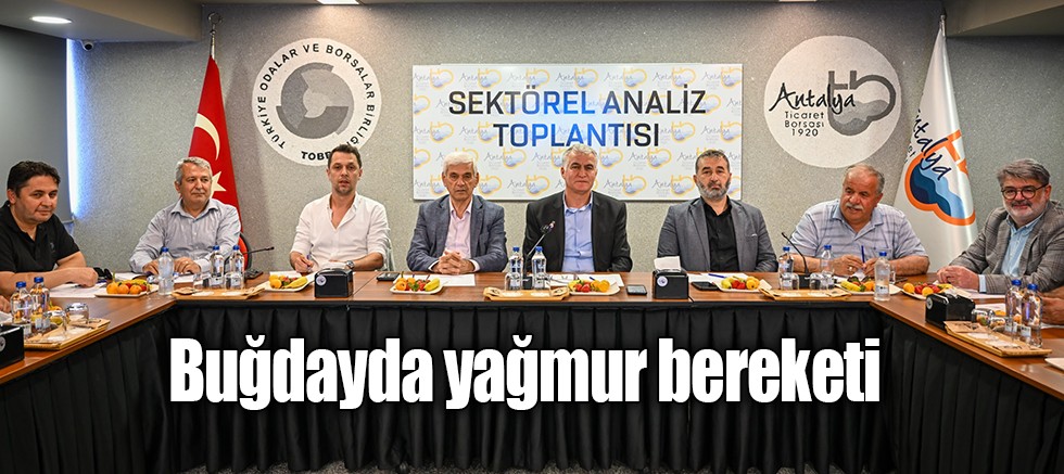 Buğdayda yağmur bereketi
