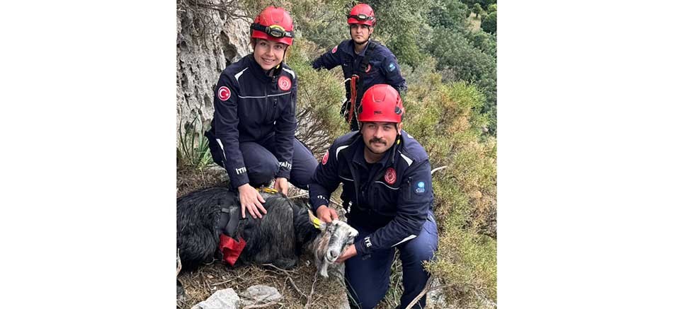 Büyükşehir Belediyesi İtfaiye ekiplerinden keçi kurtarma operasyonu