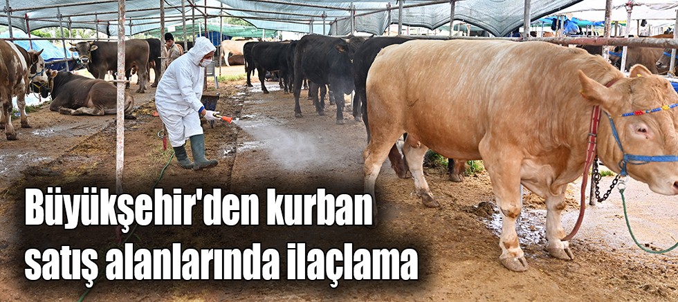 Büyükşehir'den kurban satış alanlarında ilaçlama