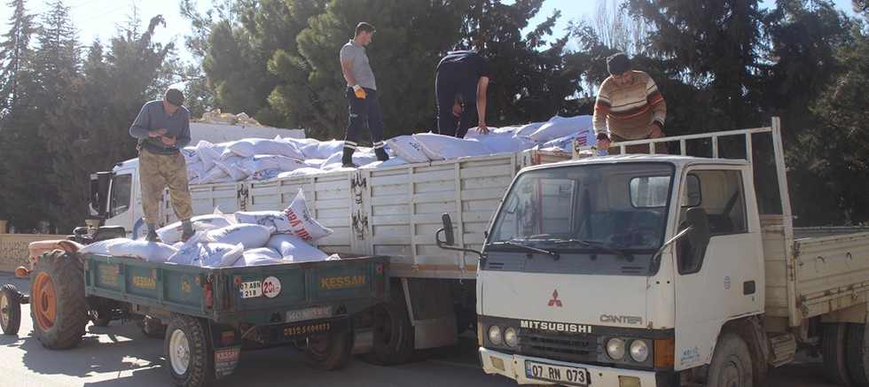 Büyükşehir’den üreticilere süt yem desteği 