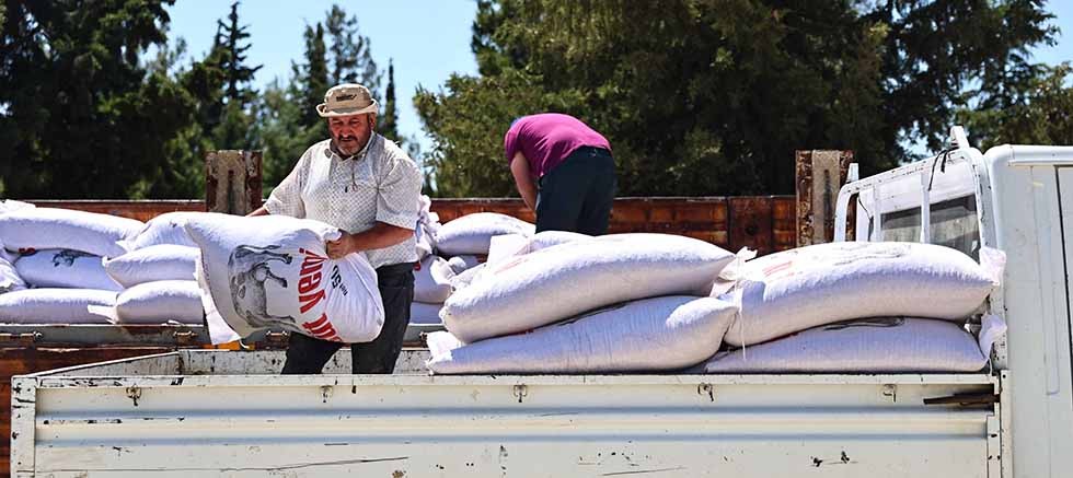 Büyükşehir’den yem desteğiyle süt üretimine güçlü katkı