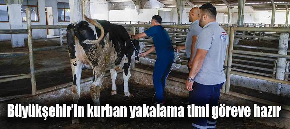 Büyükşehir’in kurban yakalama timi göreve hazır 