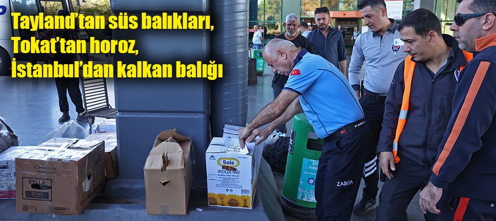 Büyükşehir zabıtasından otogarda usulsüz taşımacılığa operasyon 