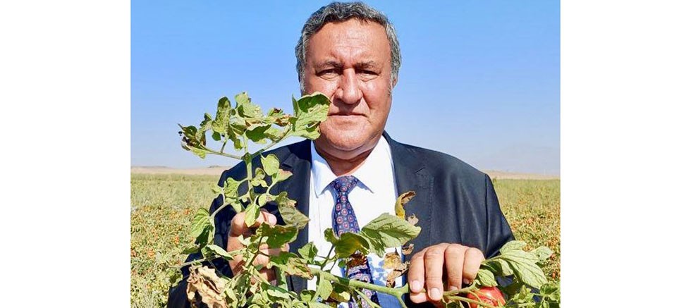 CHP'li Fethi Gürer: İcralar durdurulsun, çiftçi borçları ötelensin