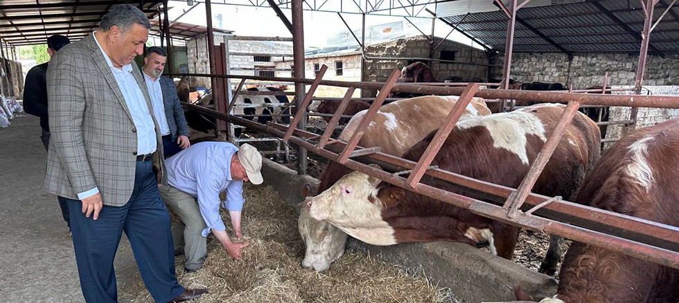 CHP’li Gürer: “Asgari ücret cebe girmeden et fiyatı arttı”