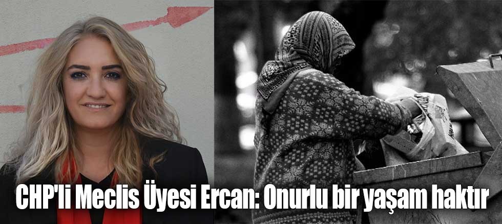 CHP'li Meclis Üyesi Ercan: Onurlu bir yaşam haktır